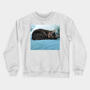 Sleepy Boi Blue Crewneck Sweatshirt